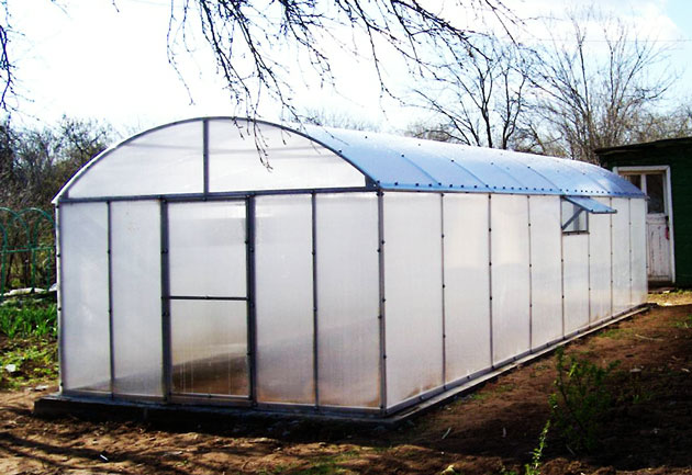 Теплица Надежда